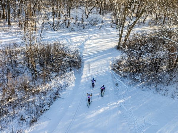 Cross-country skiers ski acros the park