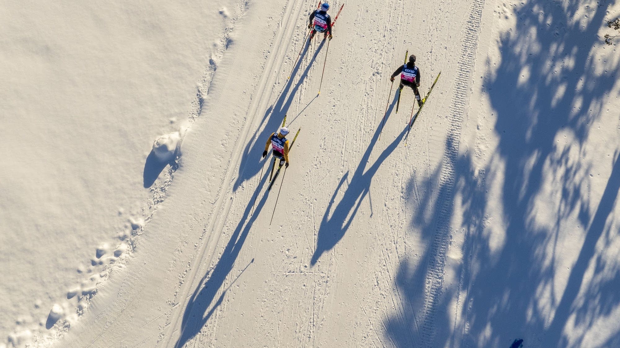 The snow comes just in time as Minnesota prepares to welcome top athletes for World Cup ski race