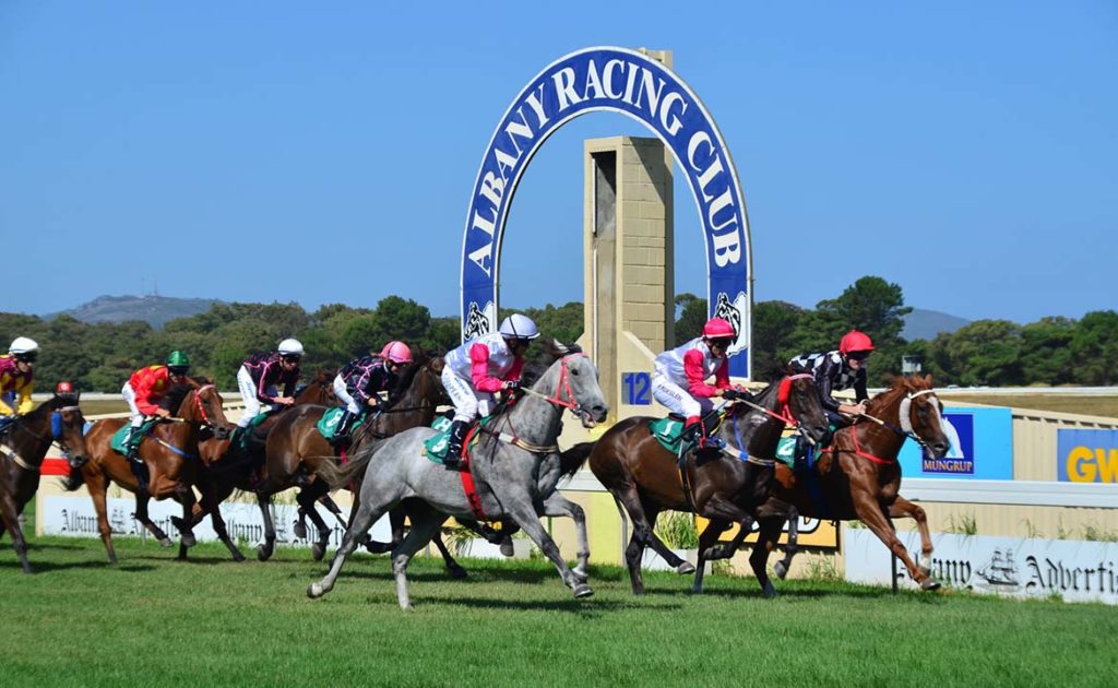 18/2/2024 Horse Racing Tips and Best Bets – Albany