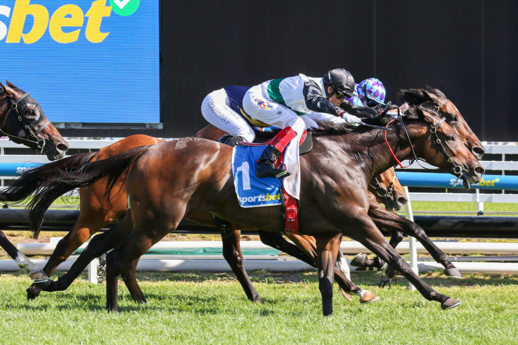 Mr Brightside skinny odds in early Futurity Stakes betting